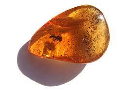 ambre pierre naturelle digestion estomac