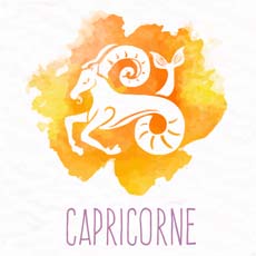 pierre du capricorne
