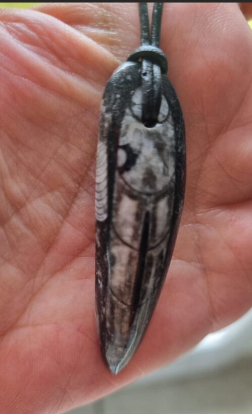 Pendentif en Orthocéras unisexe – Image 3