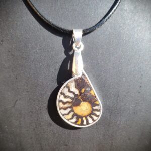 Le pendentif en ammonite allit élégance et histoire naturelle.