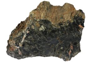 bois fossilisé lithothérapie vertus