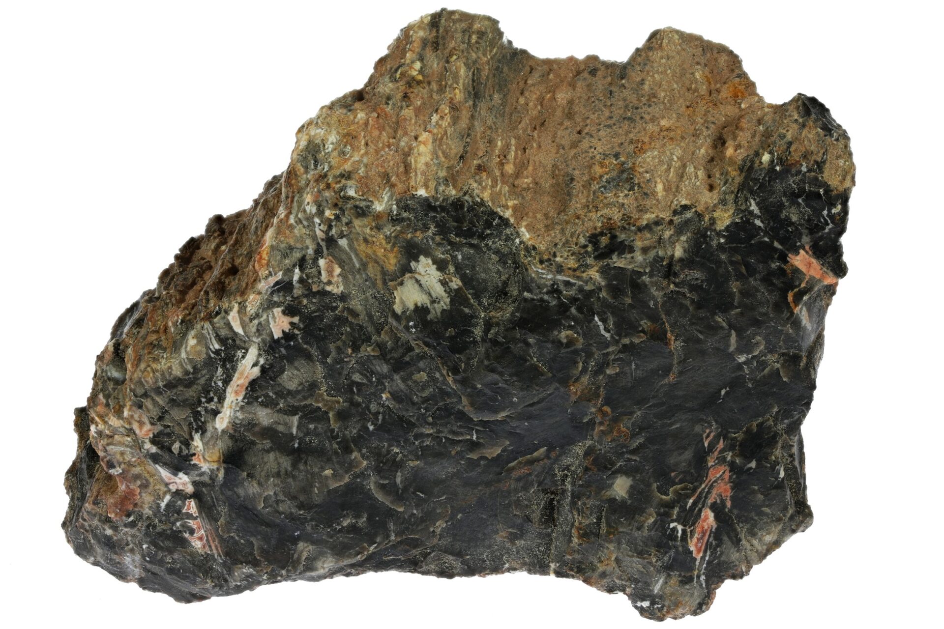 bois fossilisé lithothérapie vertus