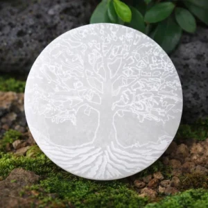 Plaque de sélénite arbre de vie sur fond naturel, support de rechargement des minéraux
