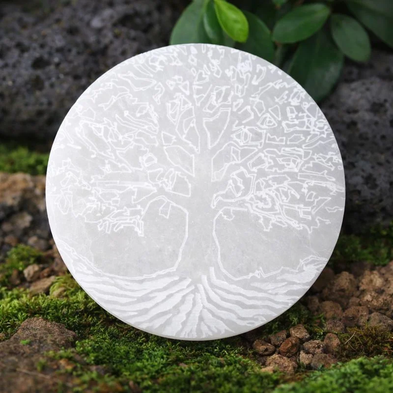 Plaque de sélénite arbre de vie sur fond naturel, support de rechargement des minéraux