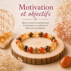 Motivation et objectifs