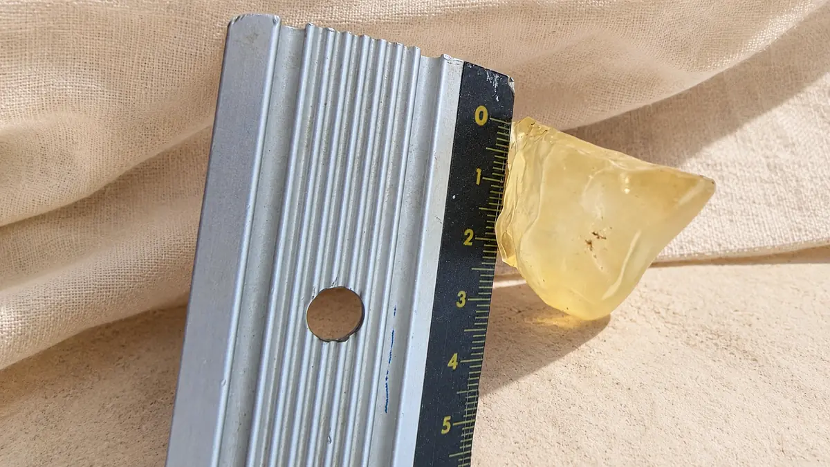 Tectite dorée en verre libyque naturel mesurée avec une règle