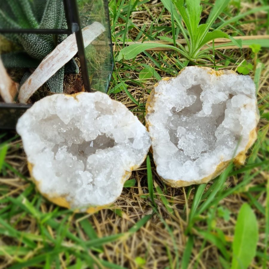 Découvrez cette magnifique géode de Quartz Blanc pesant 330 grammes, un véritable trésor de la nature. Avec ses cristaux éclatants et sa beauté unique, cette géode apportera une touche d'élégance à votre intérieur tout en offrant des propriétés purifiantes et énergisantes. Idéale pour recharger vos pierres ou simplement pour embellir votre espace, elle est un incontournable pour les amateurs de lithothérapie et de décoration naturelle.